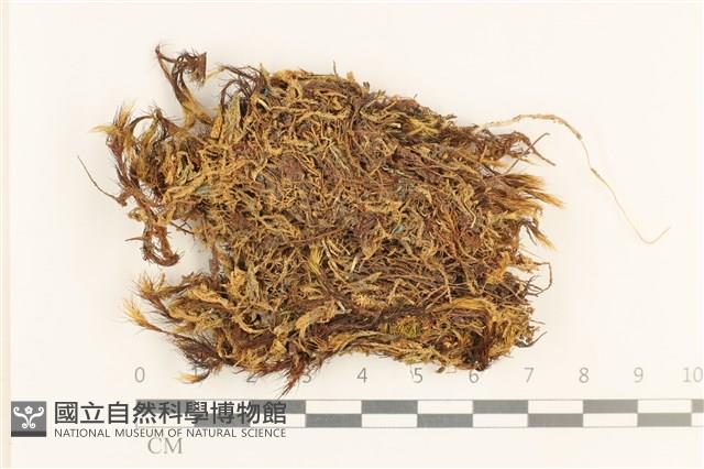 登錄號:B00001877藏品圖，第1張