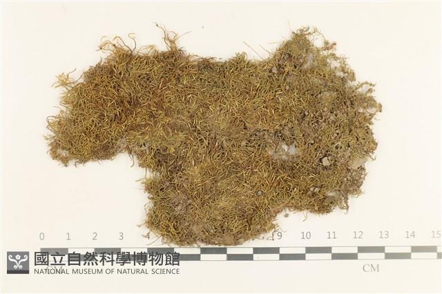 登錄號:B00021017藏品圖，第1張