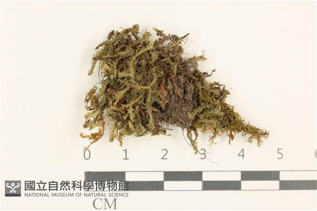 登錄號:B00015817藏品圖，第1張