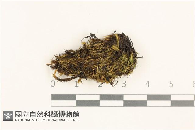 登錄號:B00001297藏品圖，第1張