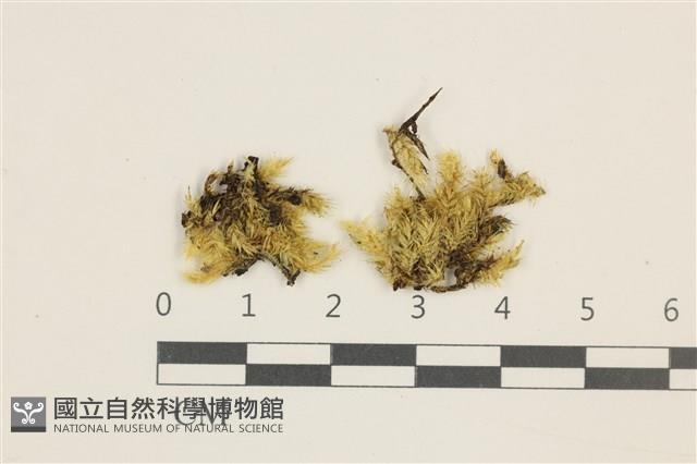 登錄號:B00000197藏品圖，第1張