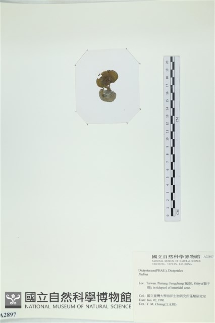 登錄號:A00002897藏品圖，第3張