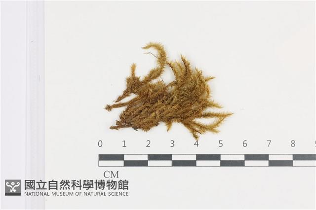 登錄號:B00008897藏品圖，第1張