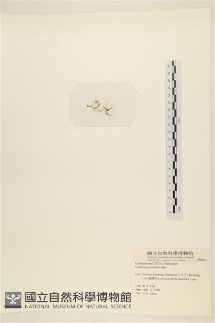 登錄號:A00004897藏品圖，第3張