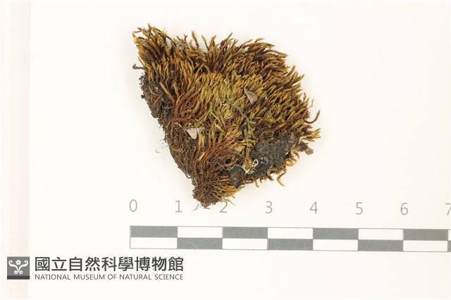 登錄號:B00021047藏品圖，第1張