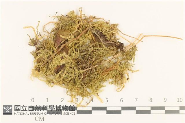 登錄號:B00015847藏品圖，第1張