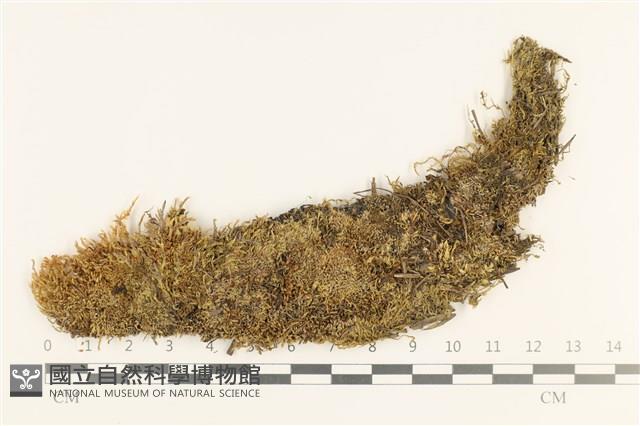 真蘚藏品圖，第1張