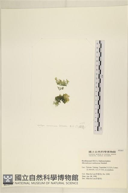 登錄號:A00001847藏品圖，第3張