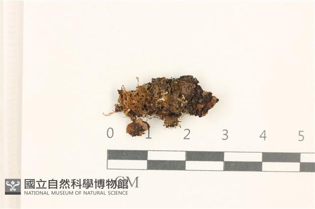 登錄號:B00018967藏品圖，第1張
