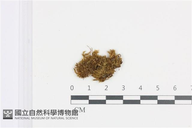 登錄號:B00008967藏品圖，第1張