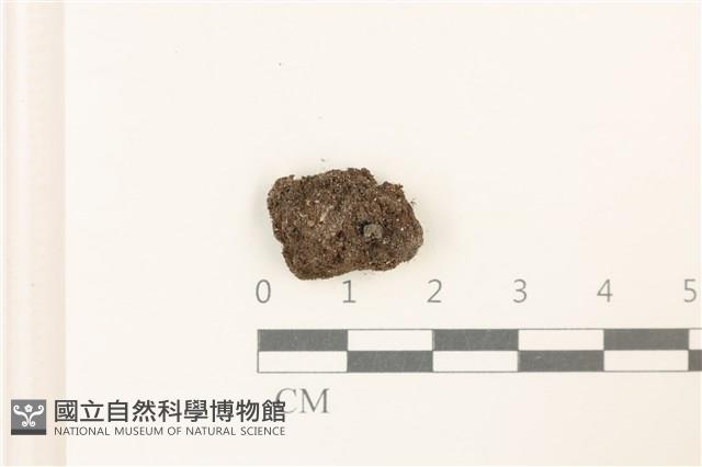 登錄號:B00016967藏品圖，第1張