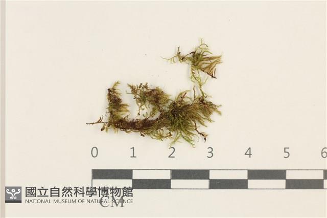 登錄號:B00010967藏品圖，第1張