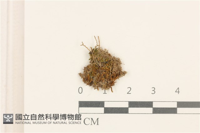 登錄號:B00014867藏品圖，第1張