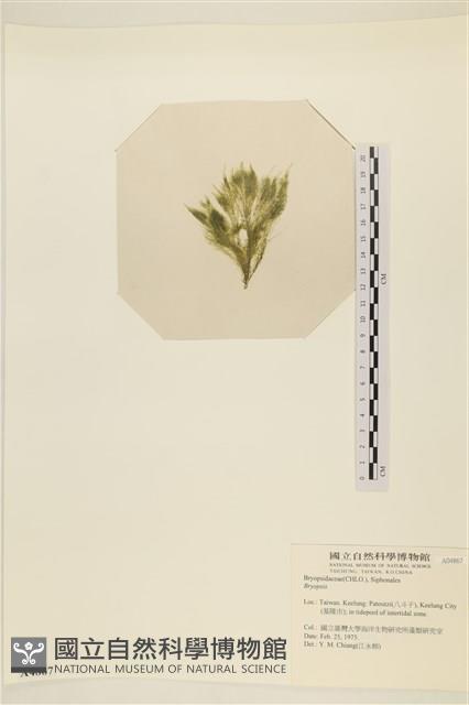 登錄號:A00004867藏品圖，第3張