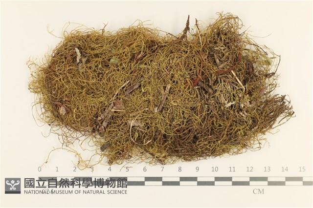 登錄號:B00010867藏品圖，第1張