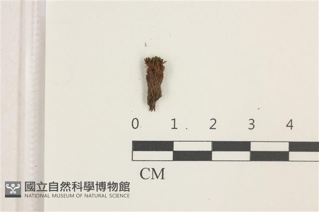 登錄號:B00010007藏品圖，第1張