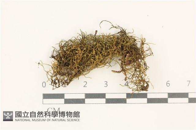 登錄號:B00016907藏品圖，第1張