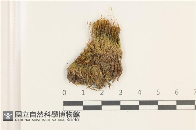 登錄號:B00017907藏品圖，第1張