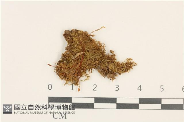 Accession Number:B00005087 Collection Image, Figure 1, Total 2 Figures