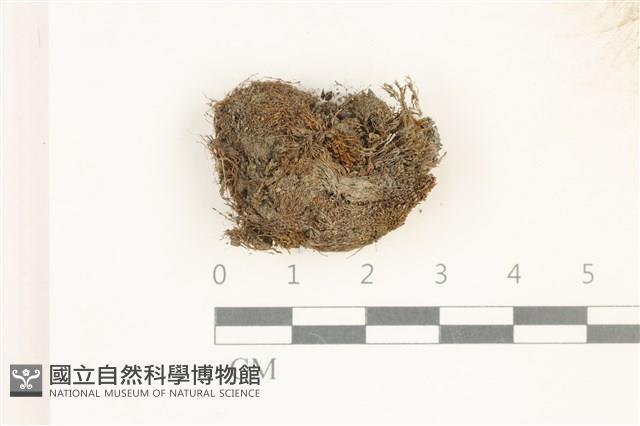 登錄號:B00017887藏品圖，第1張