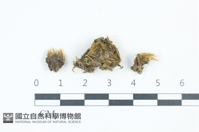 登錄號:B00001887藏品圖，第1張
