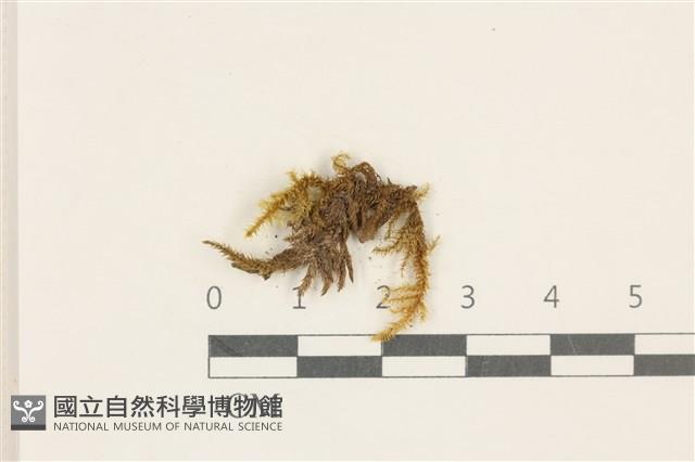登錄號:B00000035藏品圖，第1張