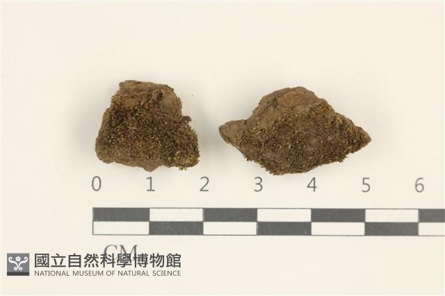 登錄號:B00016935藏品圖，第1張