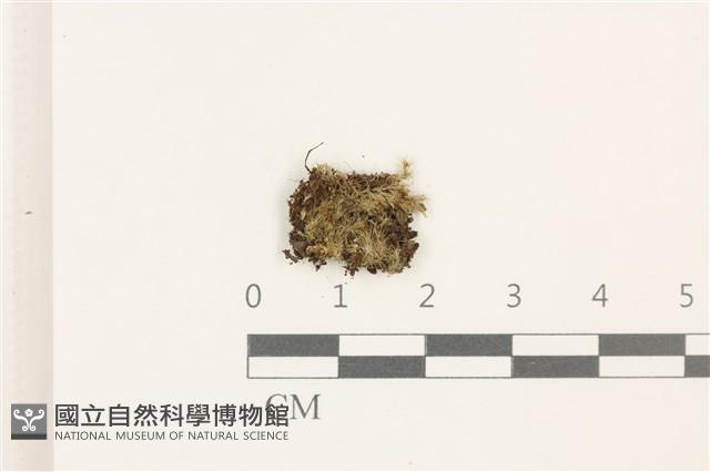 登錄號:B00008835藏品圖，第1張