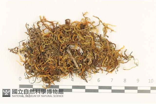 登錄號:B00003055藏品圖，第1張