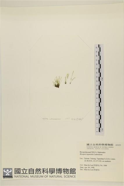 登錄號:A00001855藏品圖，第3張