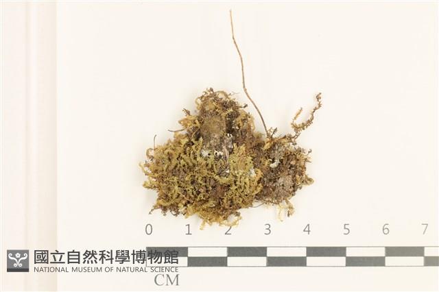 登錄號:B00010855藏品圖，第1張