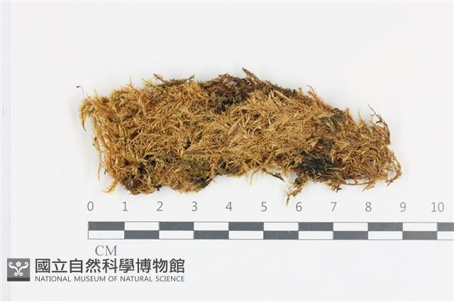 登錄號:B00011925藏品圖，第1張