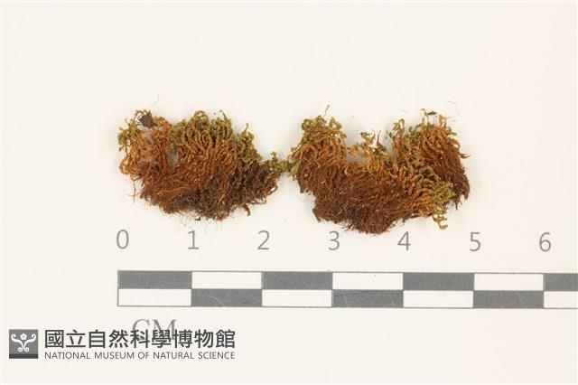 登錄號:B00021275藏品圖，第1張