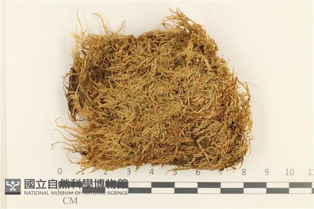 登錄號:B00011975藏品圖，第1張