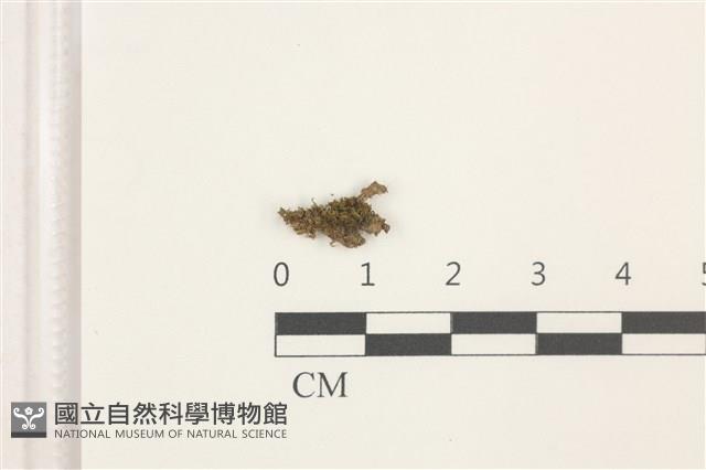 登錄號:B00008875藏品圖，第1張