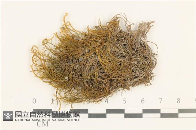 登錄號:B00012015藏品圖，第1張