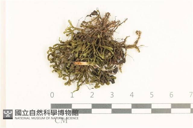登錄號:B00021115藏品圖，第1張