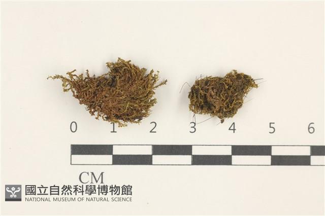 登錄號:B00017915藏品圖，第1張
