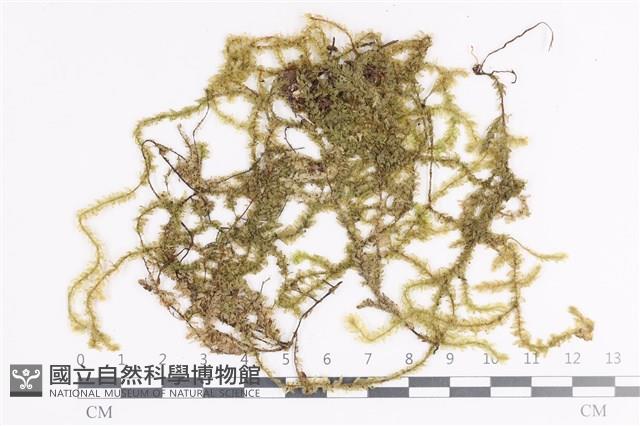 登錄號:B00011915藏品圖，第1張