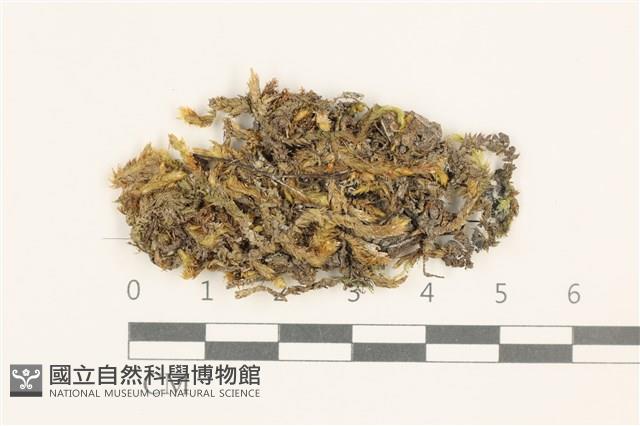 登錄號:B00020915藏品圖，第1張