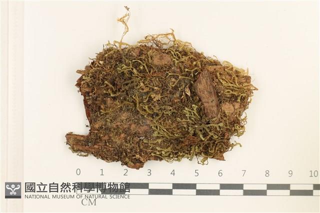 登錄號:B00010815藏品圖，第1張