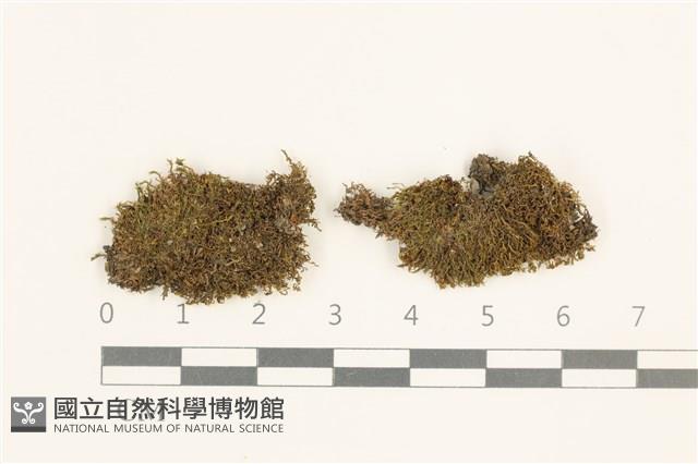 登錄號:B00003815藏品圖，第1張