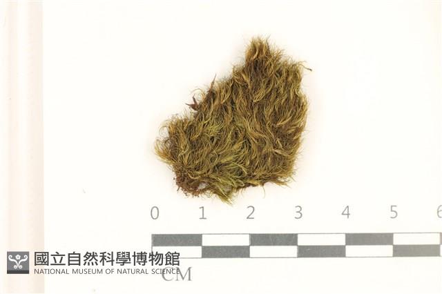 登錄號:B00010995藏品圖，第1張