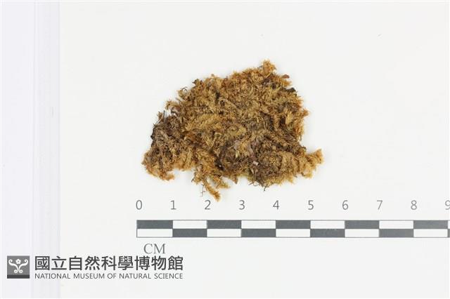 登錄號:B00008895藏品圖，第1張