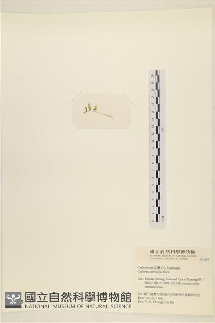 登錄號:A00004895藏品圖，第3張