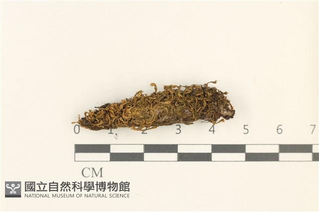 登錄號:B00017945藏品圖，第1張