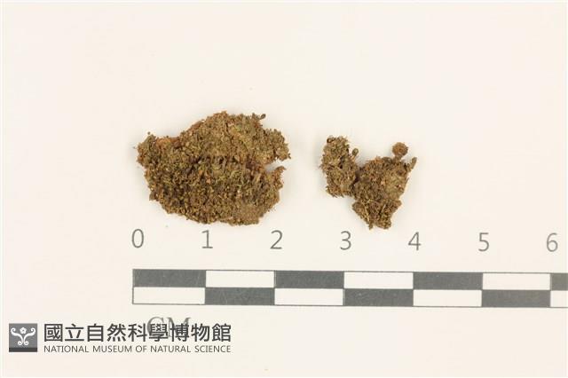 登錄號:B00004845藏品圖，第1張