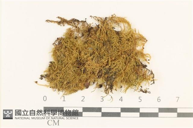 登錄號:B00015845藏品圖，第1張