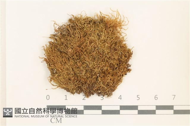 登錄號:B00014065藏品圖，第1張