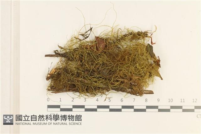 登錄號:B00000965藏品圖，第1張